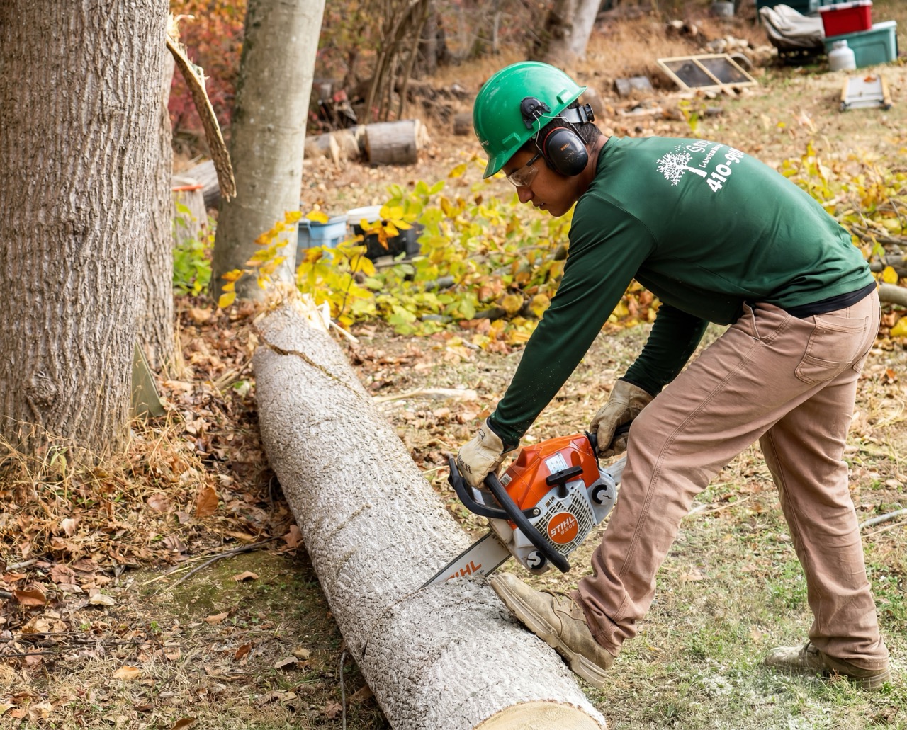 Tree removal and pruning by Green Life Landscaping