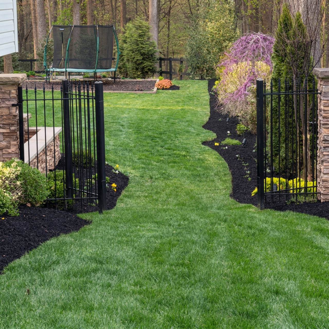 Landscape and shrub trimming by Green Life Landscaping