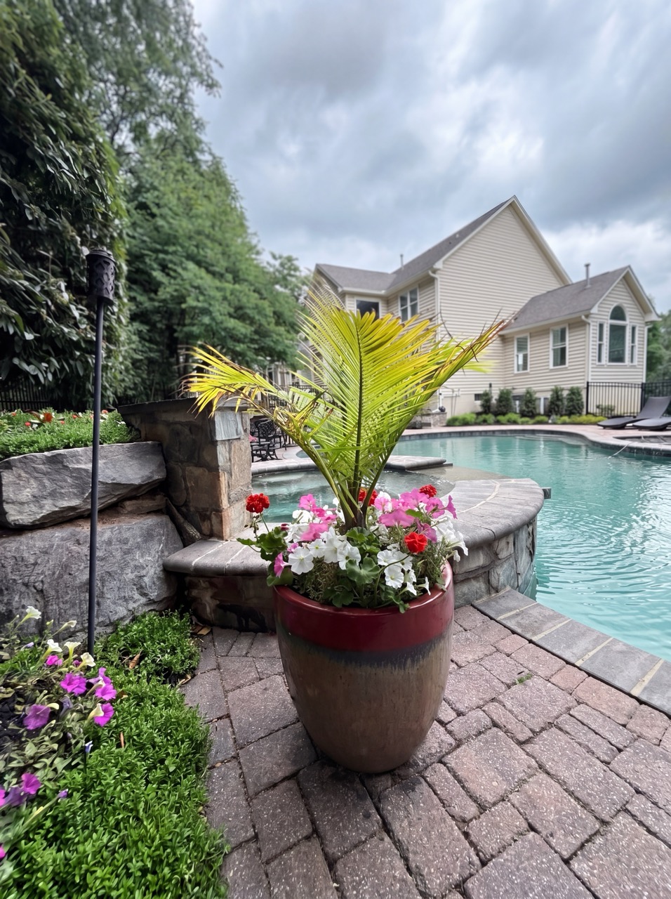 Poolside container display with palm and petunias on a paver patio by Green Life Landscaping